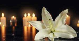 Emilyn Ribeiro Car Accident Death-Obituary