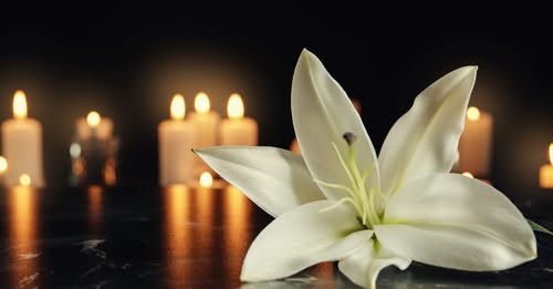 Emilyn Ribeiro Car Accident Death-Obituary